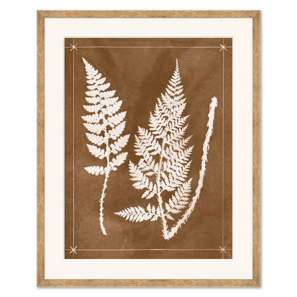 CAC-26-0117D  Sepia Fern IV