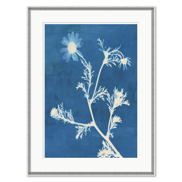 CAC-26-0113C  Montauk Daisies II