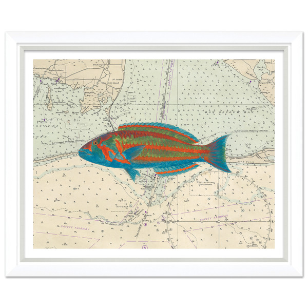 P-6837B  Vibrant Fish 2