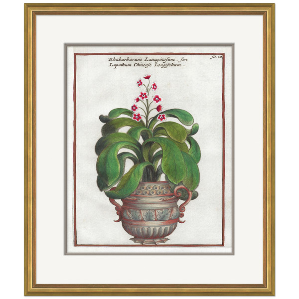 P-7035C  17th Century Florilegium 3