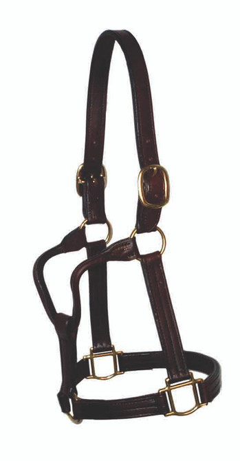 Leather Halter horses on a lead