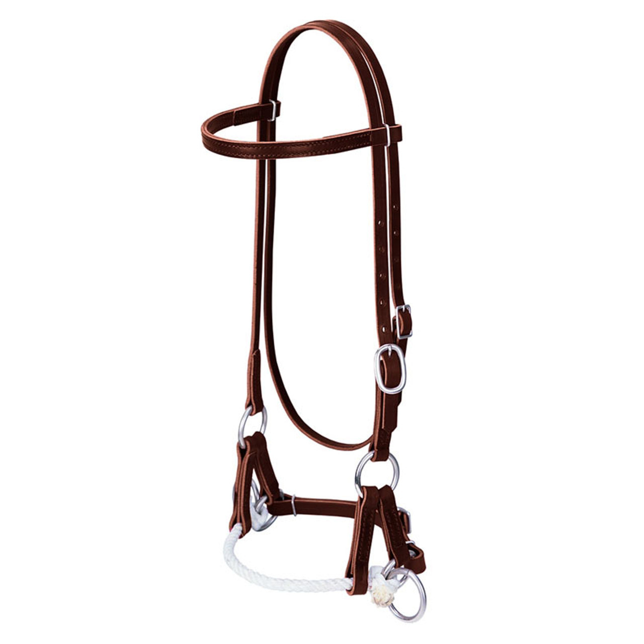 Deluxe Latigo Leather Side Pull | Working Horse Tack in Ohio