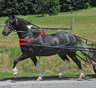 Sacoche de poitrine en cuir, pour l'homme tendance, modèle Joachim