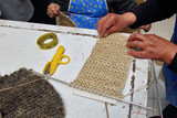 Sisal: From Succulent to Spa Accessory