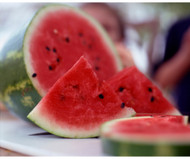 Focus on Ingredients ~ The Benefits of Watermelon Seed Oil Focus on Ingredients ~ The Benefits of Watermelon Seed Oil