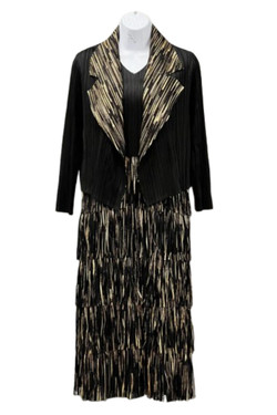 Front of the Pleated Fringe 2-Piece Dress Set style ESH-SE301 from Ellyndale in the color black