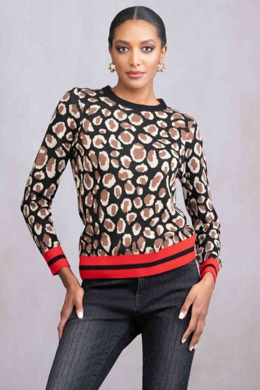Front of the Striped Animal Print Sweater style A46480 from Alison Sheri in the multicolor print