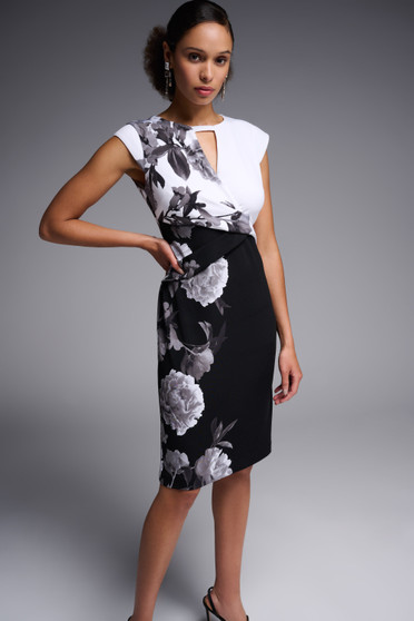 Front of the Floral Cap Sleeve Dress from Joseph Ribkoff in the colors black and multi