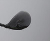 Wilson Launch Pad 2 22° 7 Fairway Wood Ladies Flex Evenflow 1161006 Good N56