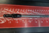 Graphite Design Tour Ad Xc 40G Senior 43.75" Driver Shaft Titleist 592784
