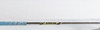 Mizuno T1 White Satin M Grind Wedge 56°-10 Wedge Dynamic Gold S400 13284580 Good