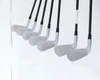 Titleist T250 4G Iron Set 6-Pw, Gw Senior Flex La Golf A Series 4 13342425 Good