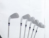 Taylormade P790 2025 Iron Set 5-Pw Stiff Flex Project X Lz Steel 13588552 Good