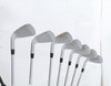 Callaway Apex Pro Forged Iron Set 4-Pw Extra Stiff Dynamic Gold Dg Pro X100 2762