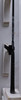 Mizuno Pro 243 6 Iron Senior Flex Ust Recoil Dart 65 Graphite 13633209 Good