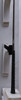 Tommy Armour 845S 6 Iron Regular Flex No Label Steel 13655546 Good