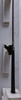 Tommy Armour 845S 8 Iron Regular Flex No Label Steel 13655556 Good