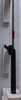 Cobra Radspeed One Length 9 Iron Regular Flex Kbs Tour 90 Steel 13630493 Good