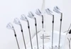 Srixon Zxi5 Iron Set 5-Pw, Aw Regular Flex Dynamic Gold 13897156 Excellent