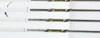 Titleist T100 3G Iron Set 4-Pw Extra Stiff Dynamic Gold Steel 13971672 Excellent