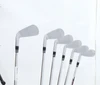 Titleist T250 Launch Spec 4G Iron Set 5-Pw Regular Flex Dynamic Gold 035989 Good