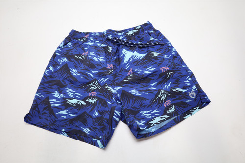 Greyson Peacemaker Torch Swim Shorts Men Size Medium Iona Regular 982A 01312432