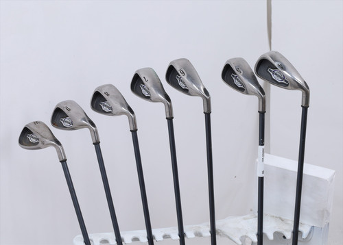 Callaway Big Bertha 2004 Iron Set 4-Pw Ladies Flex Rch 65 Graphite 13120168 Good