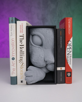 Cat’s Curiosity: 3D-Printed Peek-a-Boo Book Nook