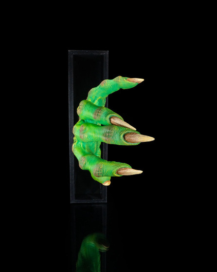 Creeping In: The Monster Claw Book Nook