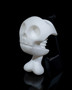 Skull Vise Headphone Stand