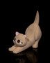 Purrrfect Cat Multipurpose Holder