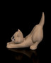 Purrrfect Cat Multipurpose Holder