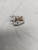 Lyra Kleos Moving Coil Cartridge