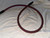 Transparent Reference Digital RCA to BNC Cable 1 Metre