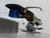 Luxman PD131S Turntable with SME 3009 Arm