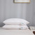 Feather & Goose Down Luxury Pillows