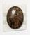 Bronzite Cabochon1 - 40X30