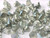 Flower Cup - Crystal Silver Rainbow