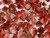 Flower Cup - Chalk White Funky Wine
