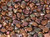Button Beads - Purple Iris Gold