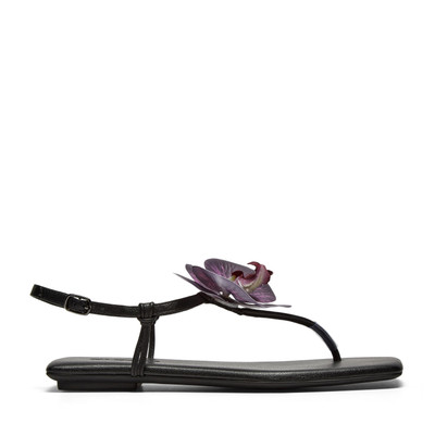 EMLYN Sandal Black