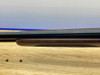CZ Teal 16 GA 28" Blued *AMAZING QUALITY MADE CZ OVER & UNDER SHOTGUN*