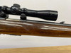 1950 Winchester 43 .218 Bee Blue 24" *INCREDIBLE BOLT-ACTION RIFLE* Vintage 1950 Winchester 43 .218 Bee Blue 24" *INCREDIBLE BOLT-ACTION RIFLE* Vintage