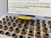 Peterson Cartridge 6.5X47mm LAPUA – 100 PCS *MATCH BRASS*