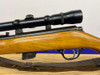 Glenfield Model 25 .22 S/L/LR Blued 22" *AMAZING BOLT-ACTION RIFLE*