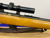 Glenfield Model 25 .22 S/L/LR Blued 22" *AMAZING BOLT-ACTION RIFLE*