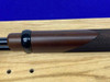 Henry Varmint Express (H001V) .17 HMR 20" *CLASSIC RIMFIRE LEVER-ACTION*