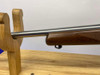 2001 Ruger 10/22 Sporter .22 LR SS 22" *LIPSEY'S DISTRIBUTOR EXCLUSIVE*