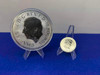 (1) 2023 British Royal Mint *SILVER Bull of Clarence* -10 Troy Ounce- -GID1167051191