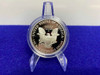 *2006 American Silver Eagle -RARE PROOF COIN- 1 Troy Ounce .999 FINE SILVER-GID1150943282